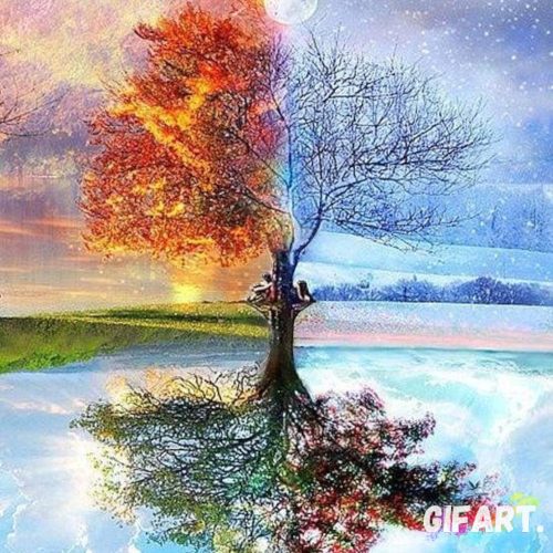 Számfestő Készlet - Fa 4 Évszak  (40x50cm, Keret nélkül)